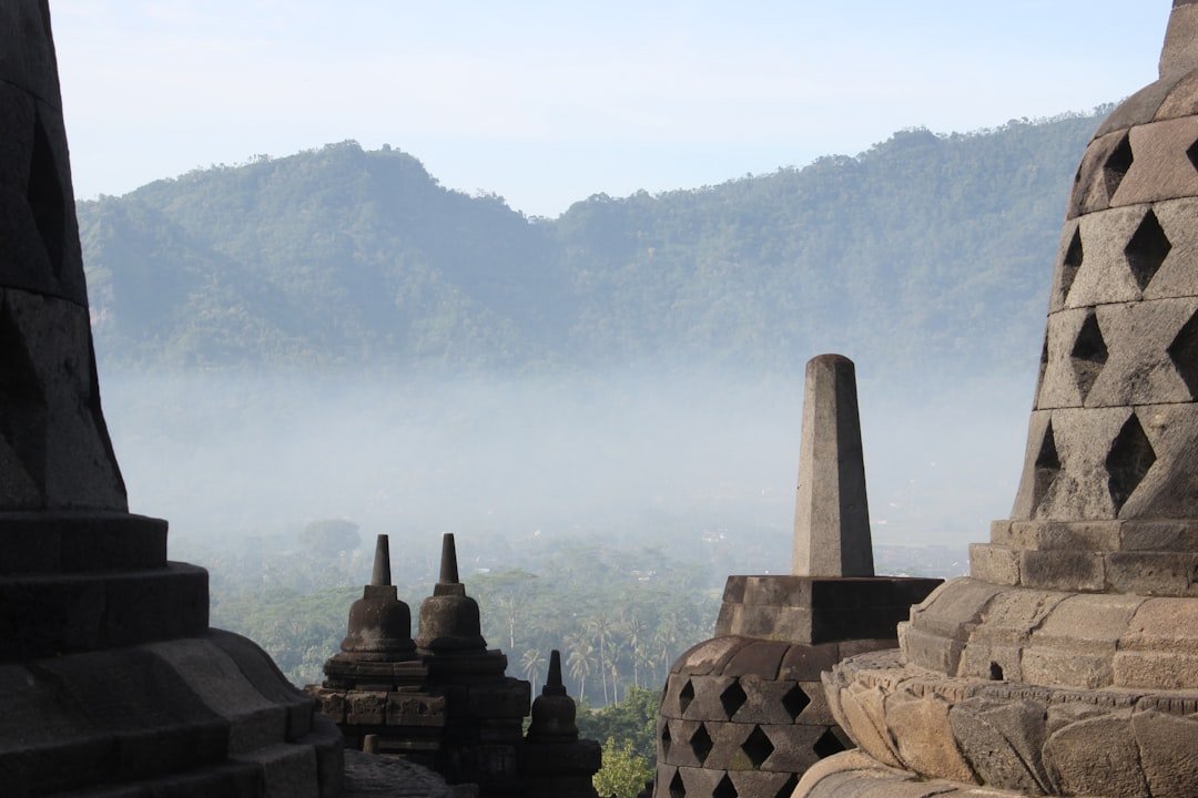 Photo Rainforest trekking